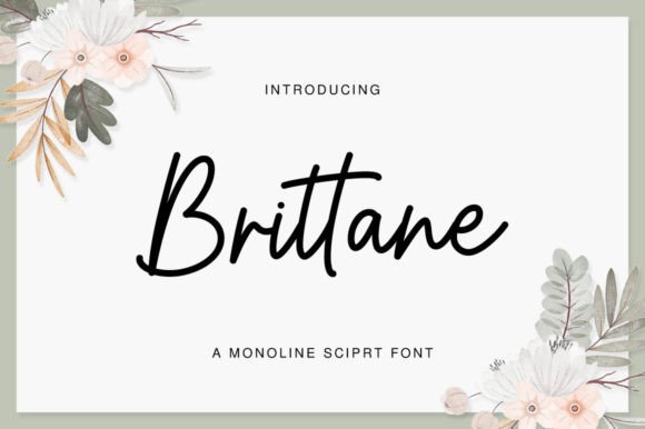 Brittane: Timeless Handwritten Elegance