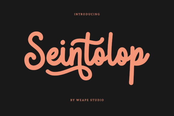 Seintolop: The Handwritten Elegance That Elevates Every Design