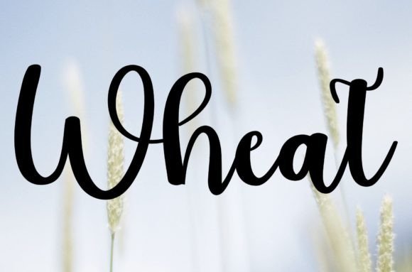 Wheat: A Fun and Friendly Handwritten Font That Adds Character to Your Designs