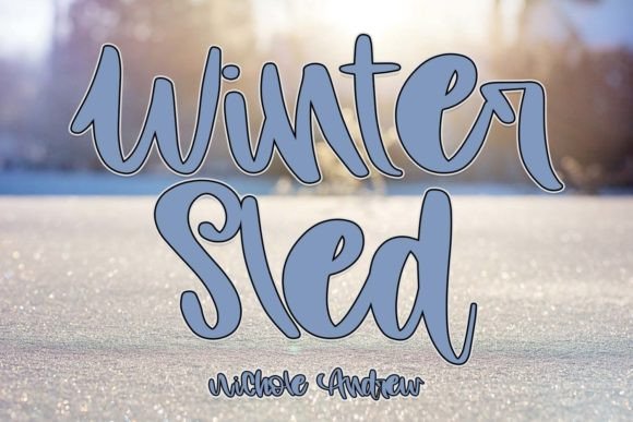 Winter Sled